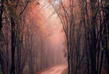 瞧！亚冬会的“科技范儿”2025-02-07.