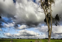 英超：平分秋色 托特纳姆热刺队2-2伯恩茅斯队.