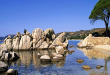 实至名归的他，再次拿下意最佳主帅奖项：梦想欧冠登顶弥补遗憾.